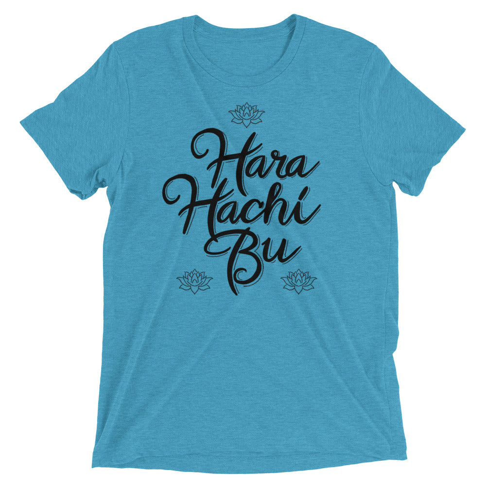 A light blue t-shirt that says Hara Hachi Bu in a custom brush typeface.