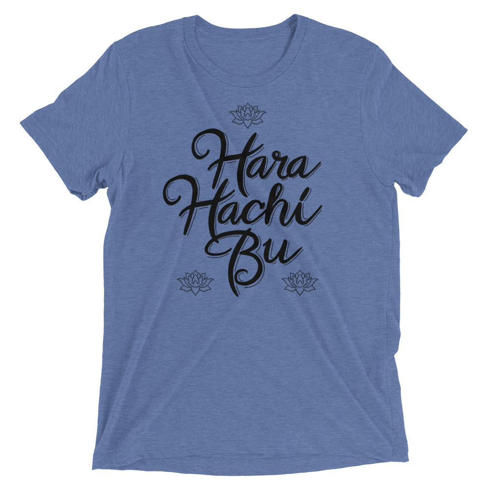 A blue t-shirt that says Hara Hachi Bu in a custom brush typeface.